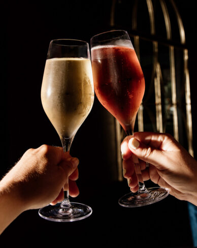 two people clinking wine glasses together